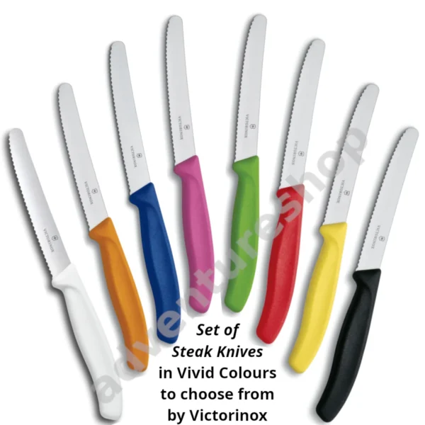 Victorinox classic 11cm Knife in colours